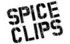 737908371adult_spice_clips_logo.jpg